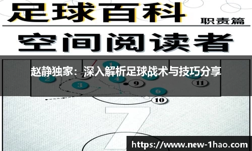 赵静独家：深入解析足球战术与技巧分享
